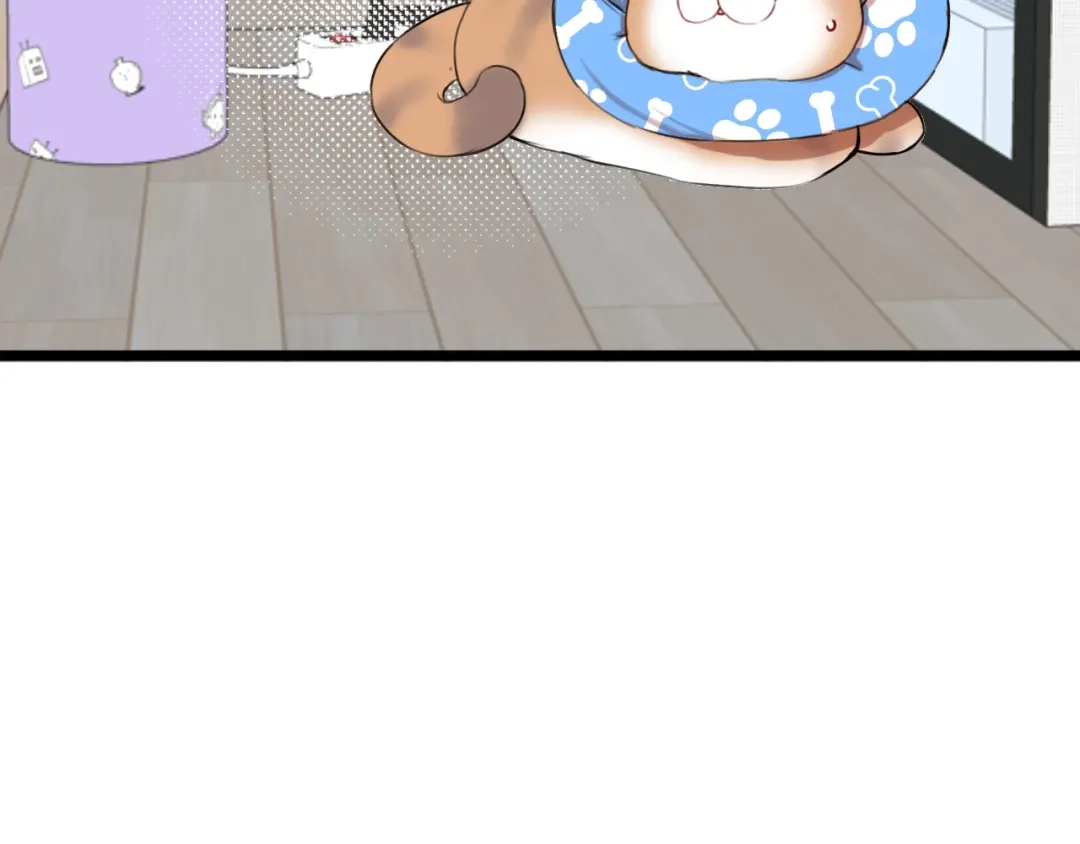 《猫猫究竟在想什么？》第15话 不许凶猫猫！ 第39页