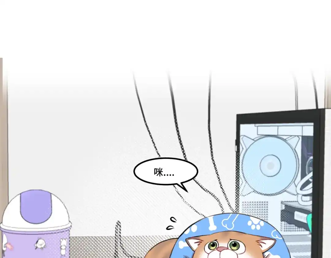 《猫猫究竟在想什么？》第15话 不许凶猫猫！ 第38页