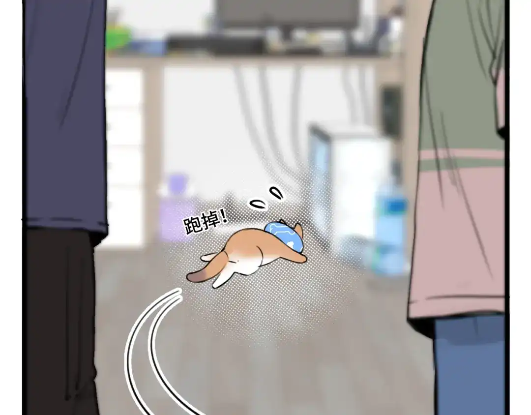 《猫猫究竟在想什么？》第15话 不许凶猫猫！ 第36页
