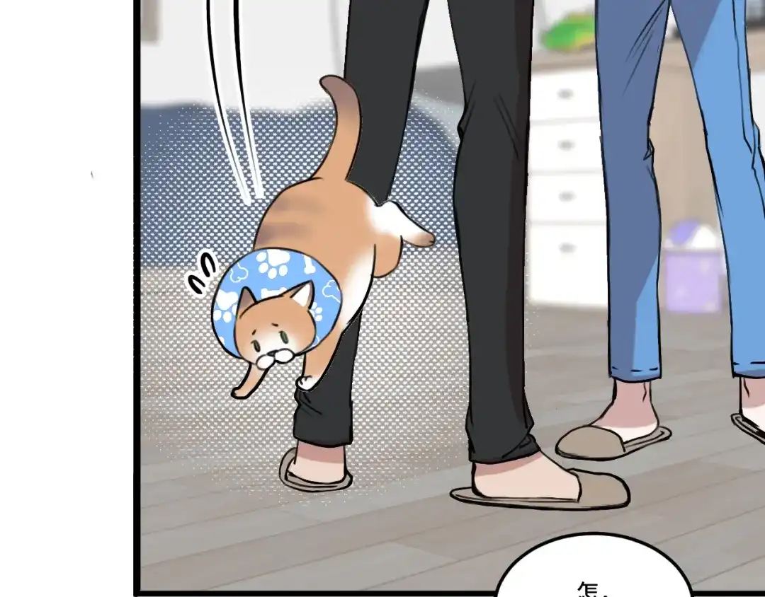 《猫猫究竟在想什么？》第15话 不许凶猫猫！ 第28页