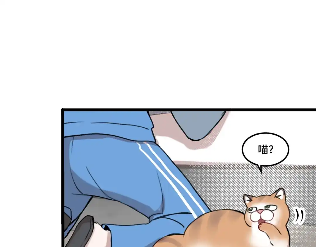 《猫猫究竟在想什么？》第17话 猫猫的小心思？ 第105页