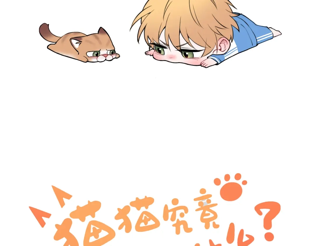 《猫猫究竟在想什么？》第17话 猫猫的小心思？ 第2页
