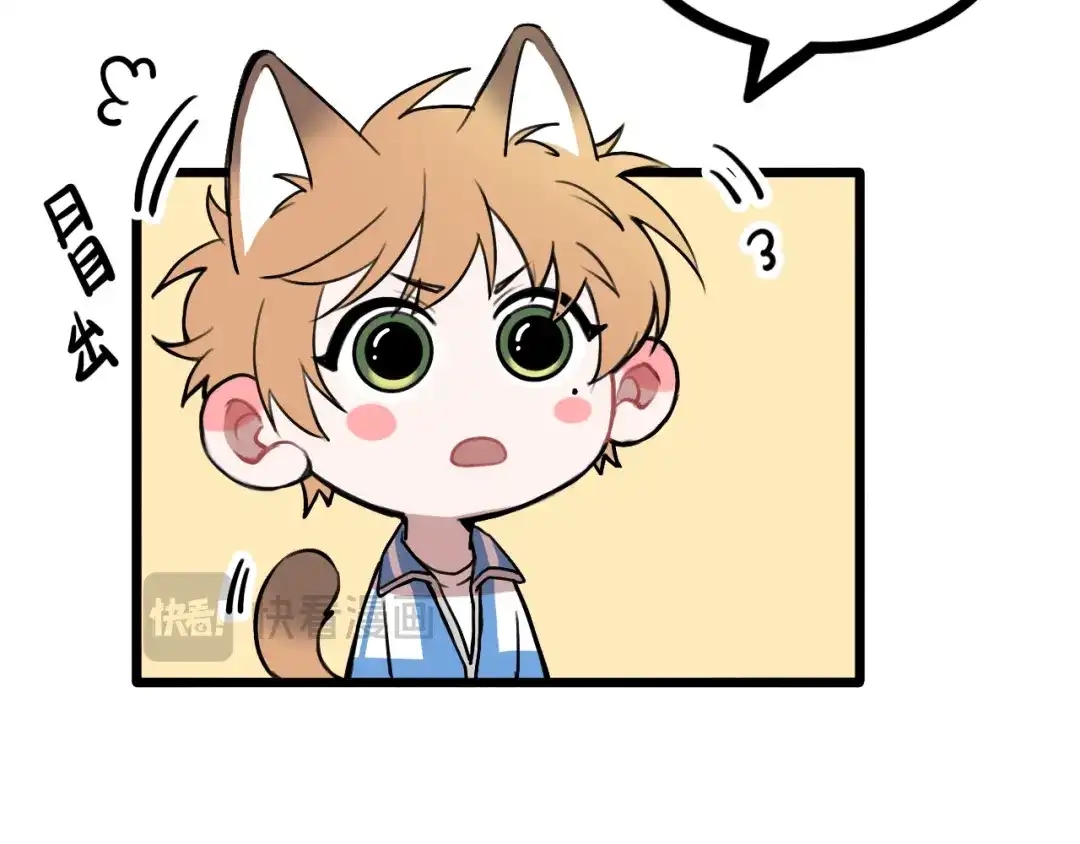 《猫猫究竟在想什么？》第17话 猫猫的小心思？ 第45页