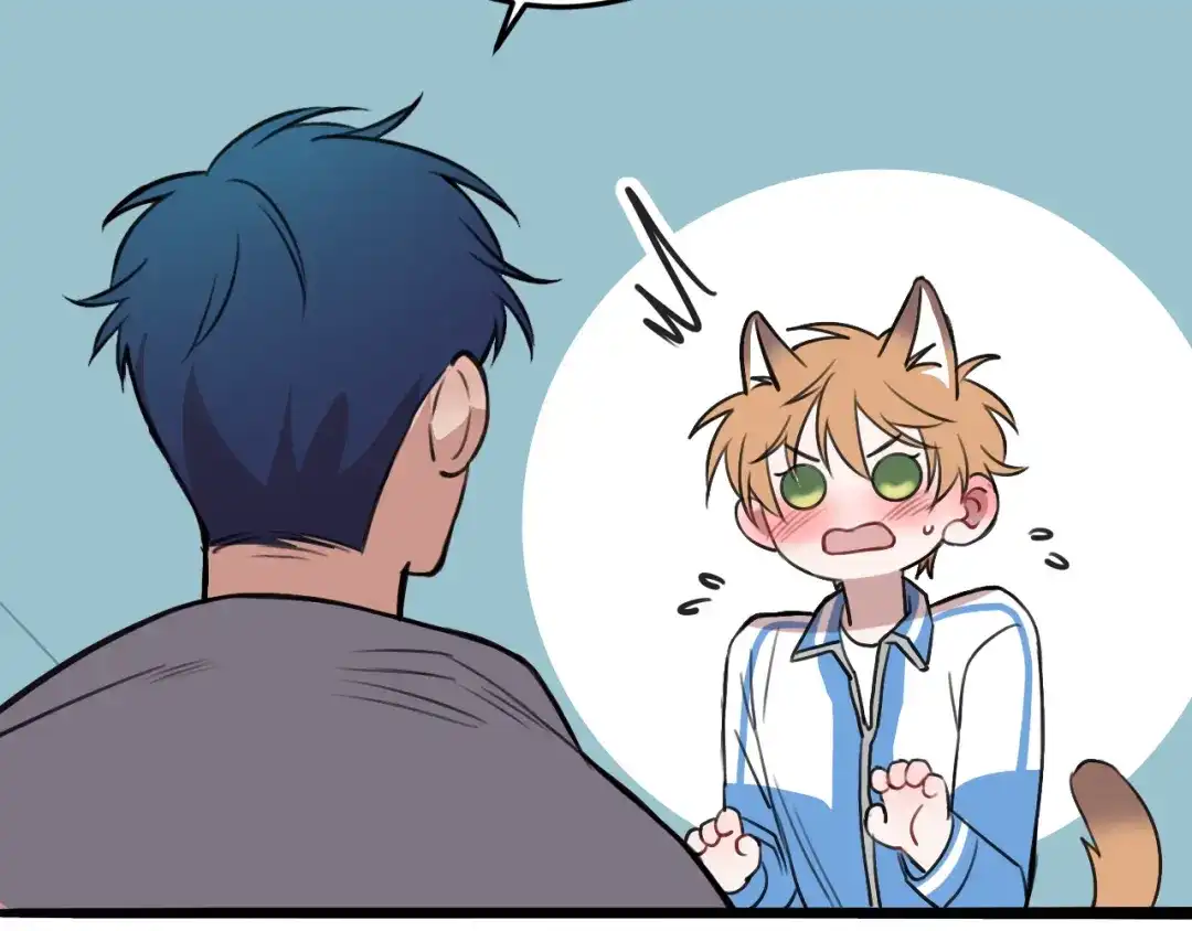 《猫猫究竟在想什么？》第17话 猫猫的小心思？ 第82页