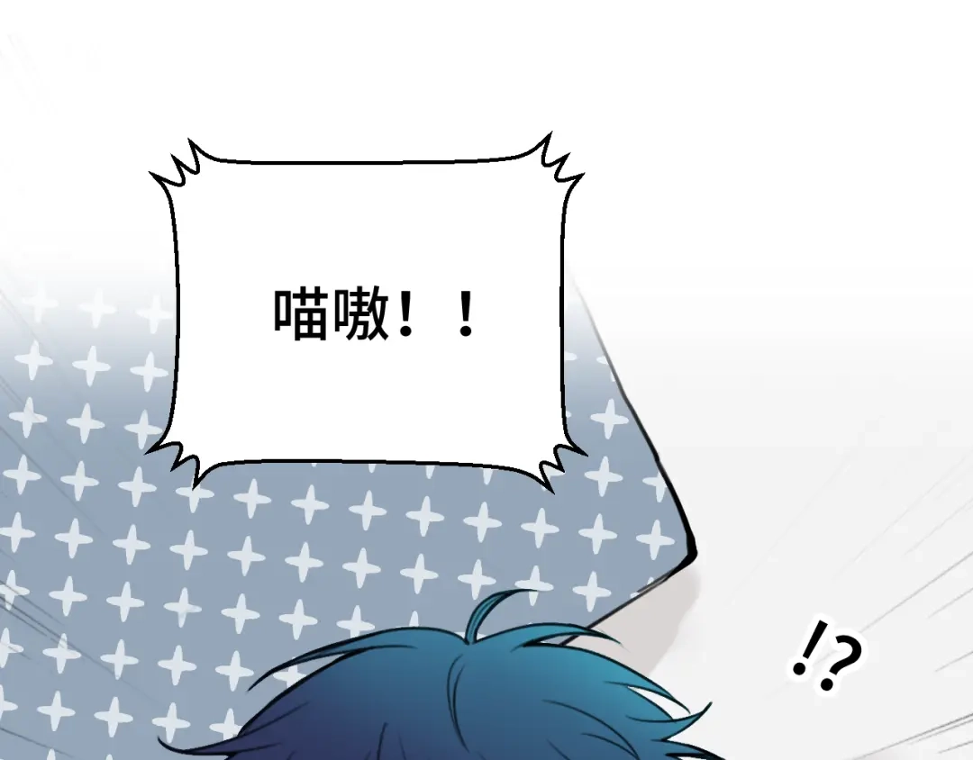 《猫猫究竟在想什么？》第17话 猫猫的小心思？ 第49页