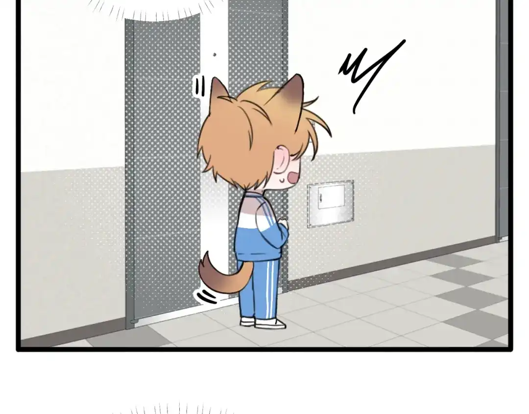 《猫猫究竟在想什么？》第18话 猫猫有不好的预感！ 第41页