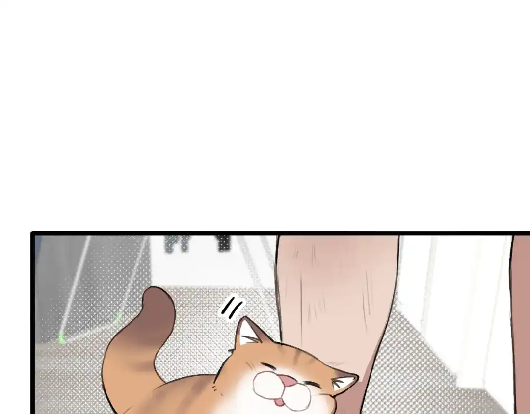 《猫猫究竟在想什么？》第18话 猫猫有不好的预感！ 第33页