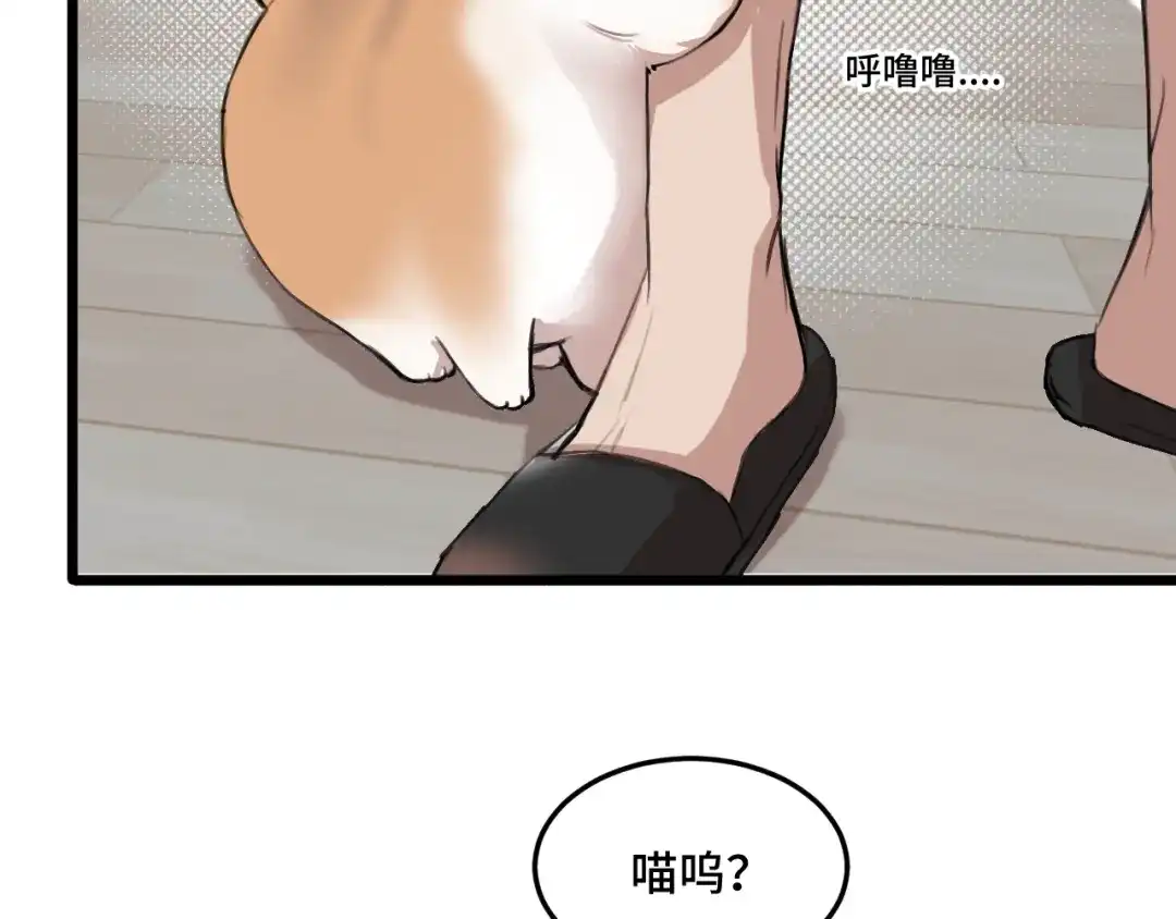 《猫猫究竟在想什么？》第18话 猫猫有不好的预感！ 第34页