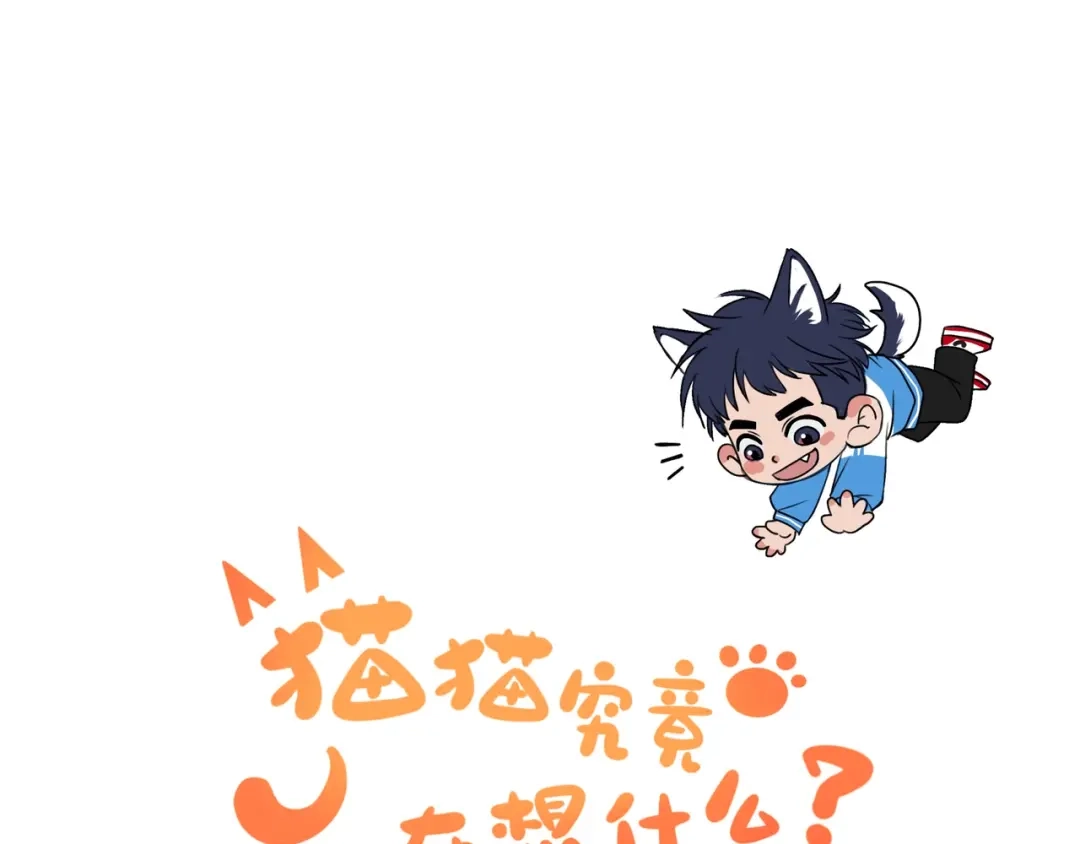 《猫猫究竟在想什么？》第2话 猫猫更让人摸不着头脑了！ 第71页