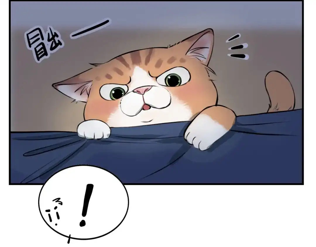 《猫猫究竟在想什么？》第4话 和猫猫说晚安~ 第46页