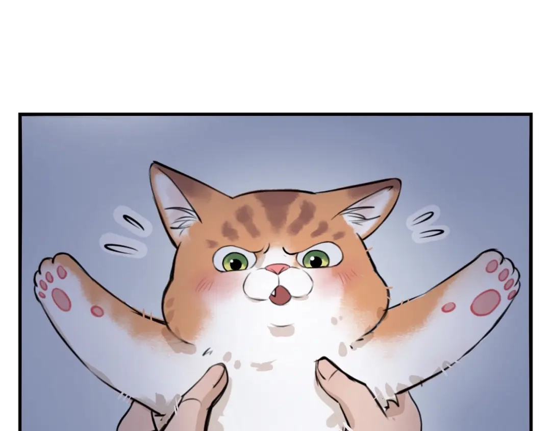《猫猫究竟在想什么？》第4话 和猫猫说晚安~ 第62页