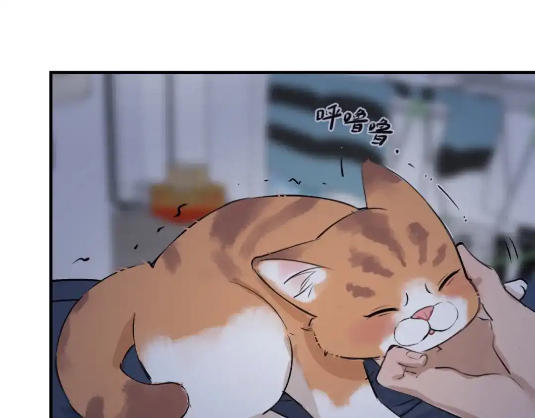 《猫猫究竟在想什么？》第4话 和猫猫说晚安~ 第55页