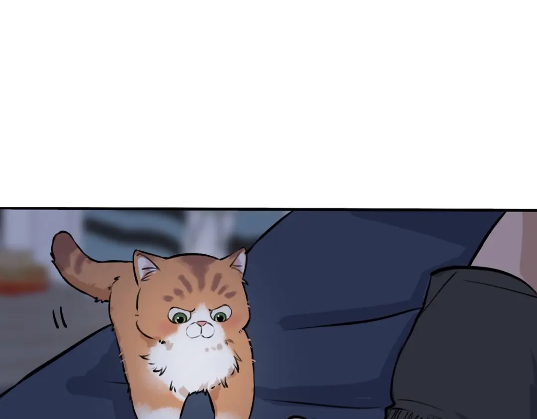 《猫猫究竟在想什么？》第4话 和猫猫说晚安~ 第48页