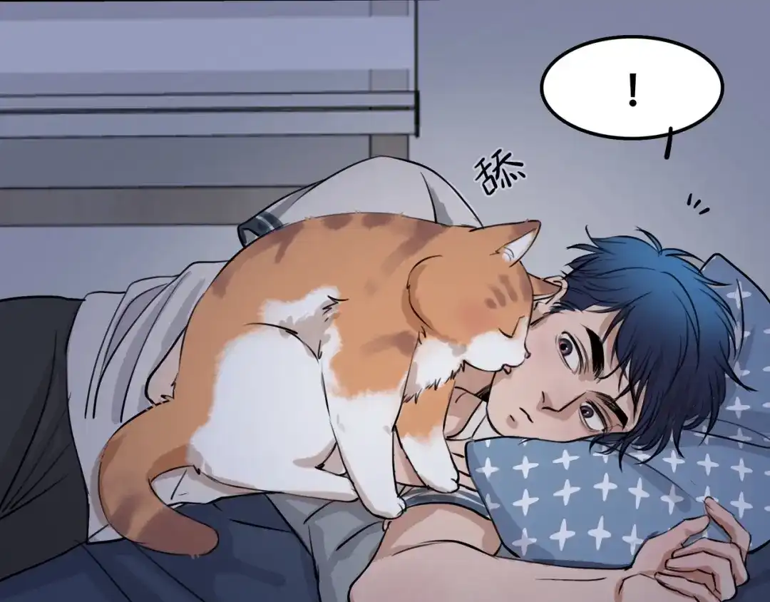 《猫猫究竟在想什么？》第4话 和猫猫说晚安~ 第52页