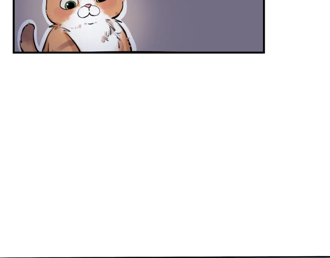 《猫猫究竟在想什么？》第4话 和猫猫说晚安~ 第51页