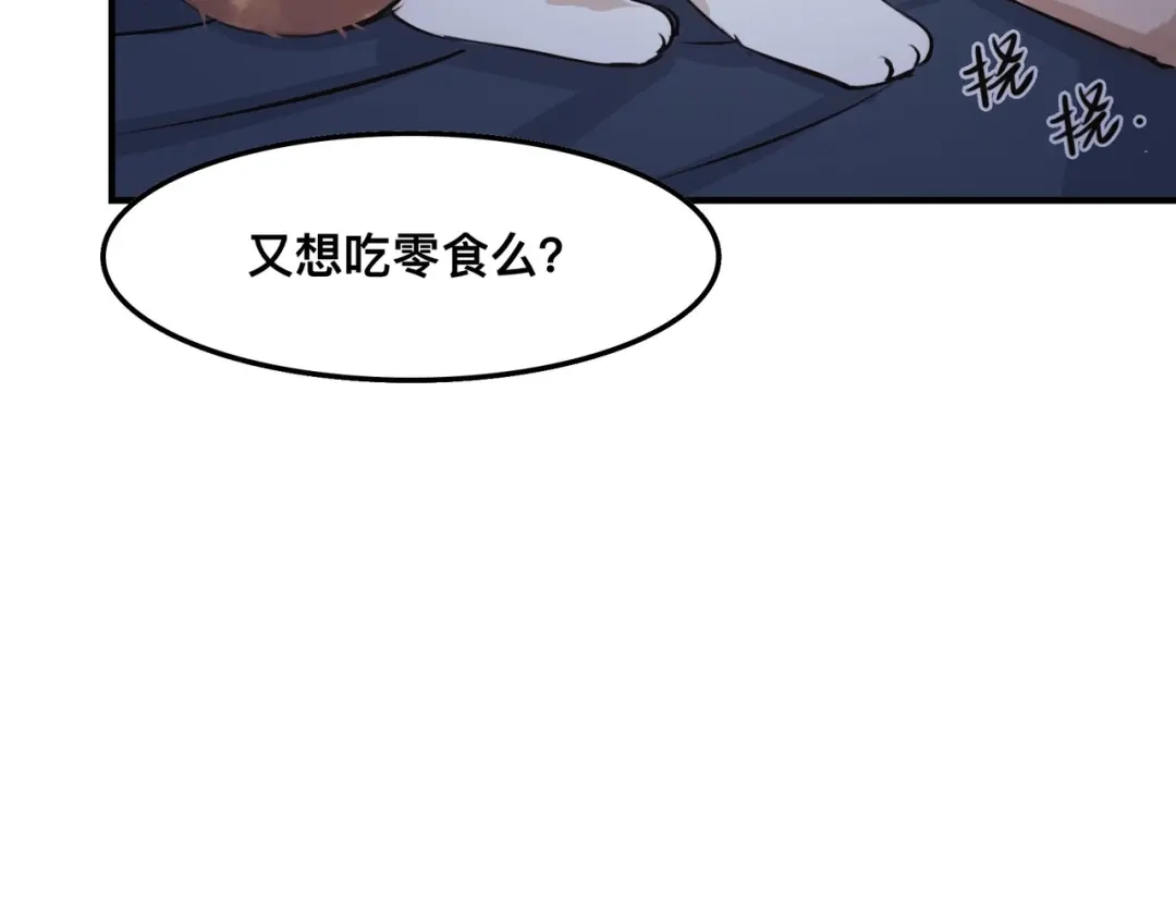 《猫猫究竟在想什么？》第4话 和猫猫说晚安~ 第56页