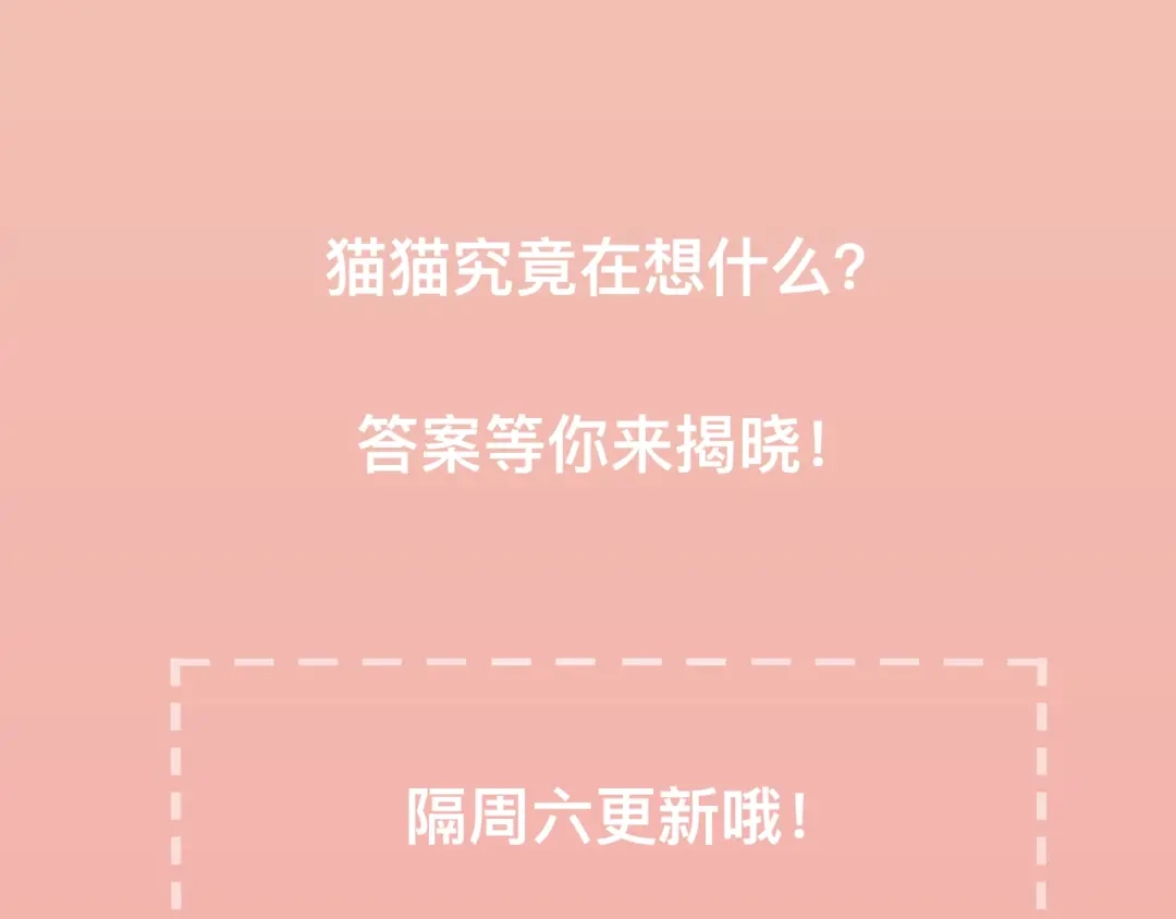 《猫猫究竟在想什么？》第5话 猫猫主动出击！ 第142页