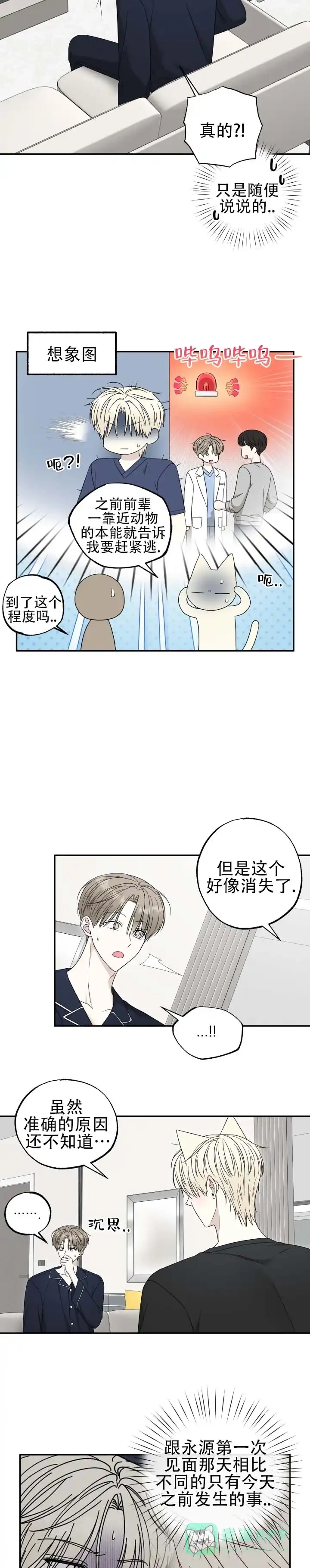 《猫系男友》第10话 第6页