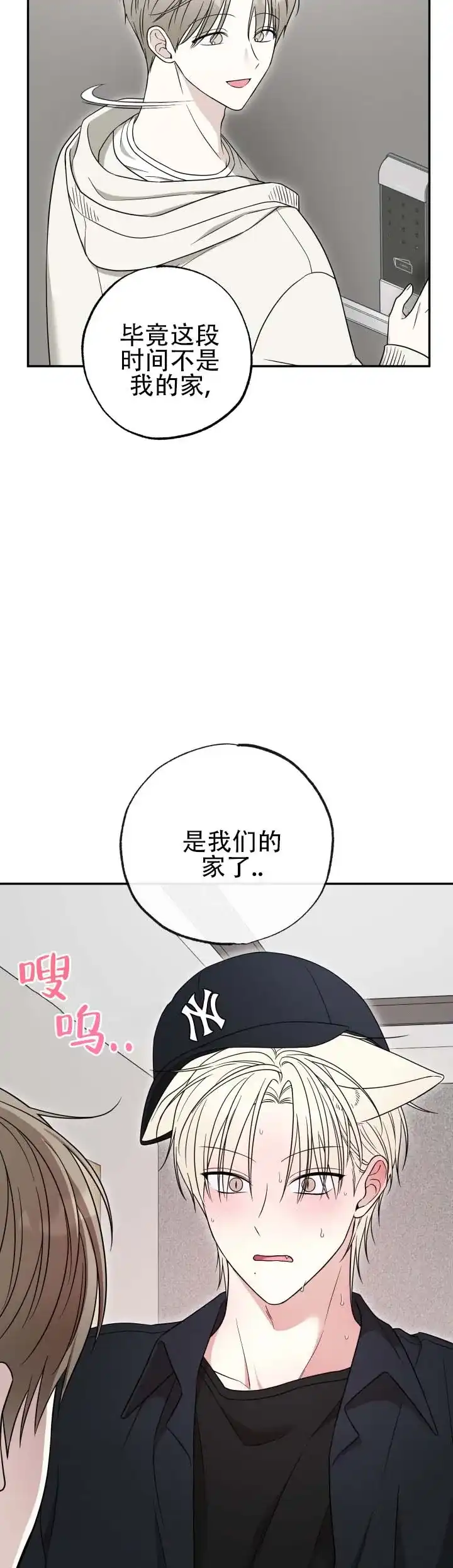《猫系男友》第11话 第8页