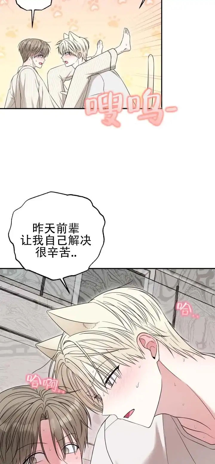 《猫系男友》第13话 第8页