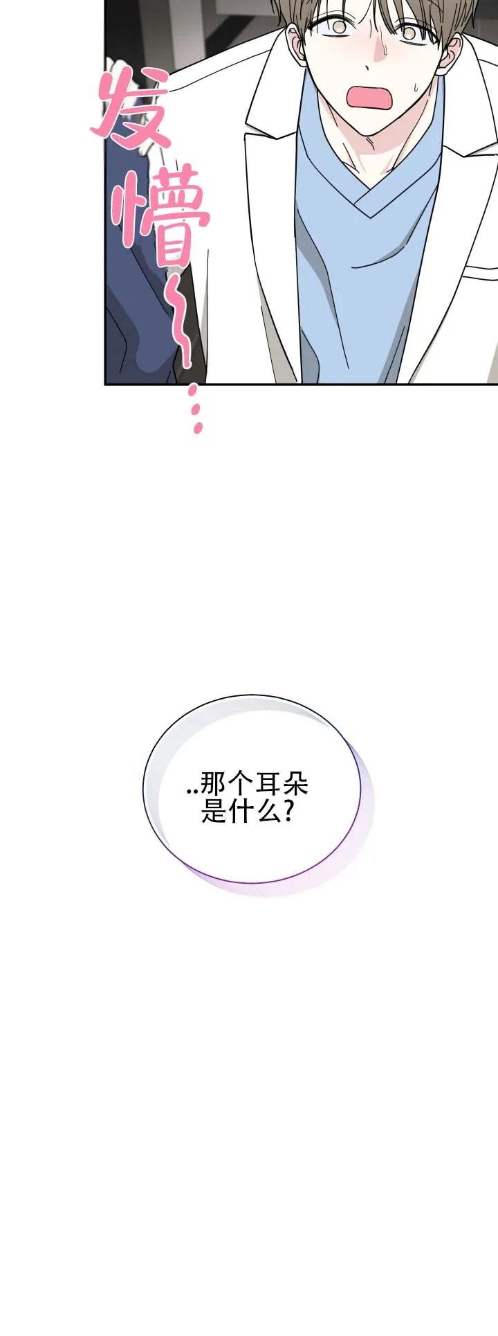 《猫系男友》第3话 第12页