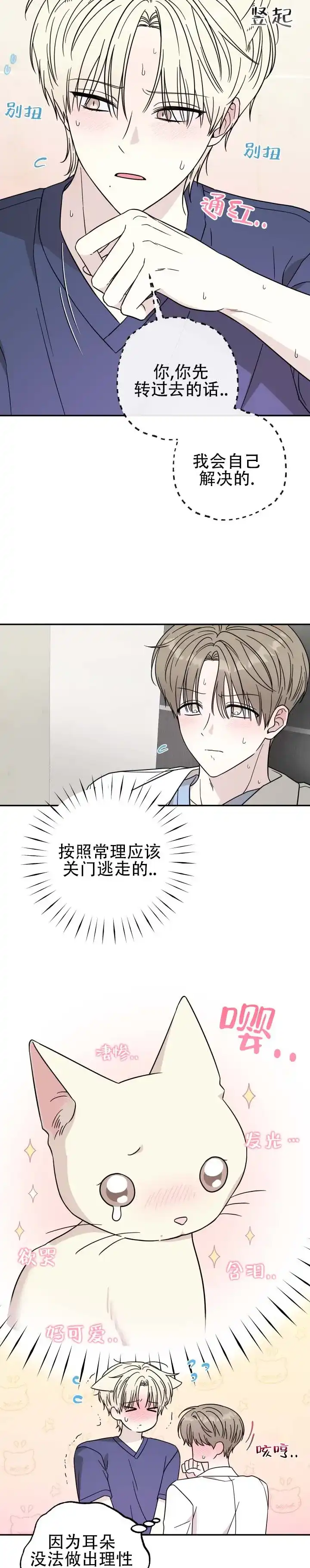 《猫系男友》第4话 第4页