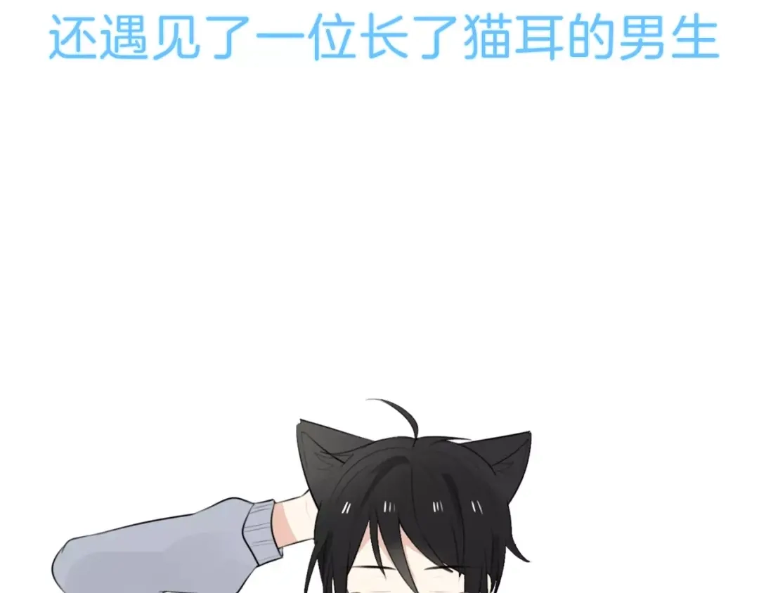 《猫与黑曜石》序章 穿越异世界遇上猫耳男生 第7页