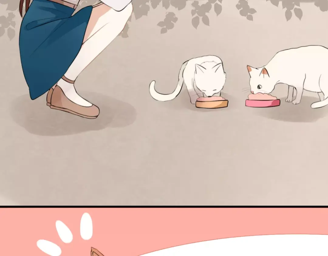 《猫与黑曜石》第1话 向流星许愿结果穿越异世界！ 第40页