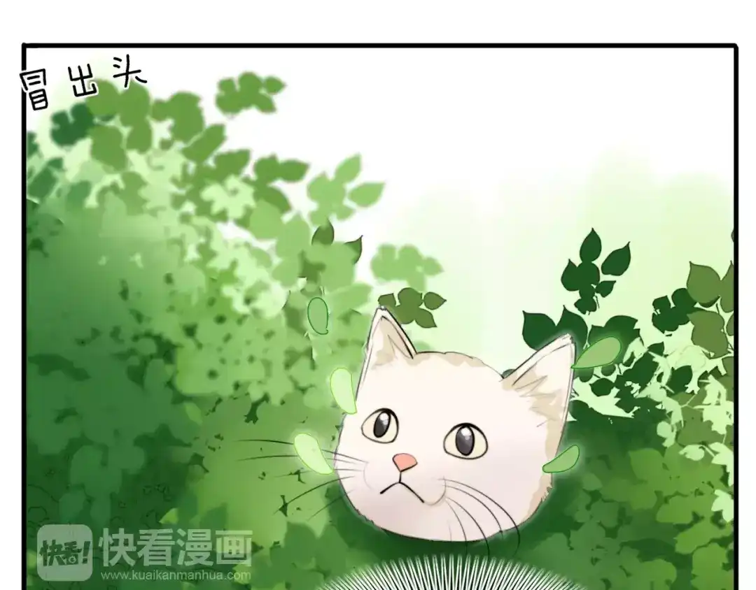 《猫与黑曜石》第1话 向流星许愿结果穿越异世界！ 第36页