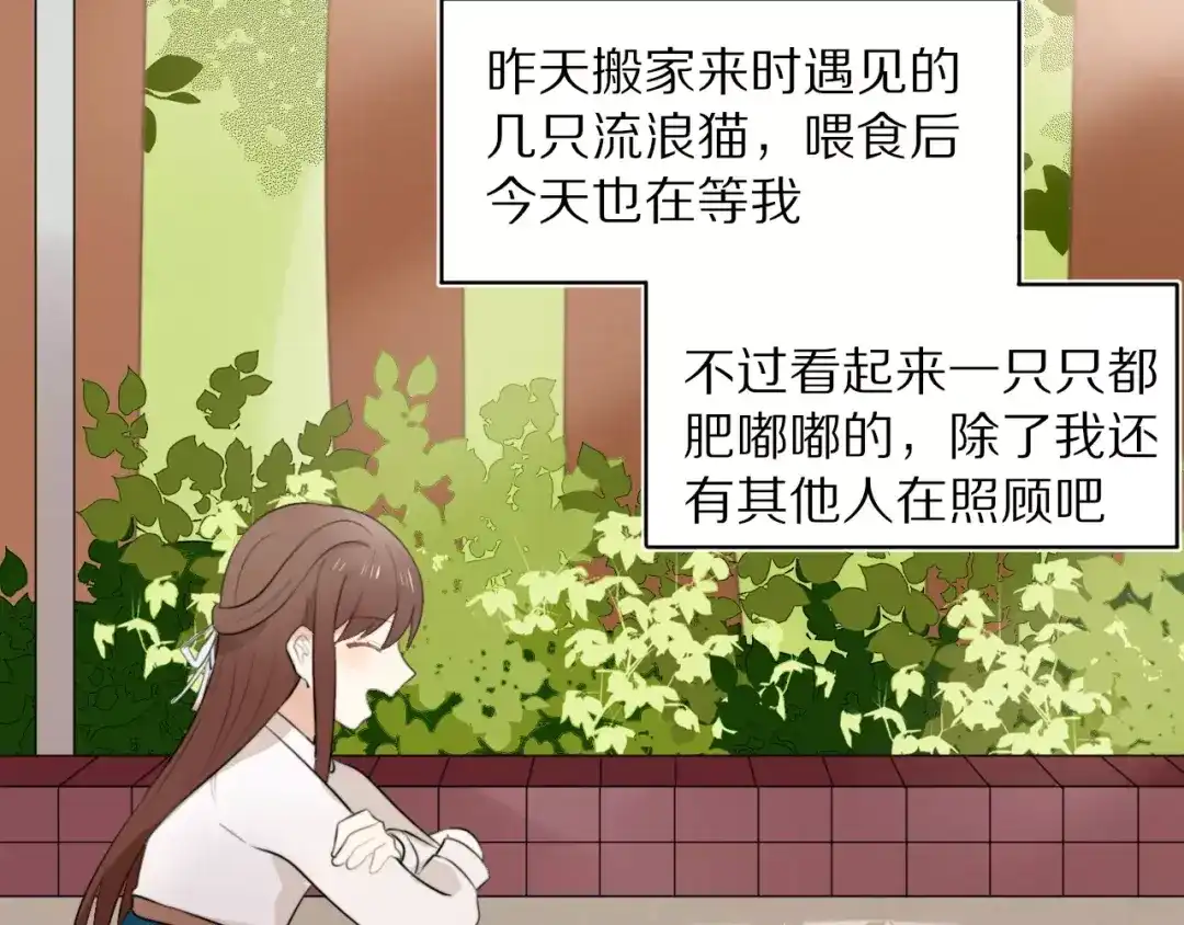 《猫与黑曜石》第1话 向流星许愿结果穿越异世界！ 第39页