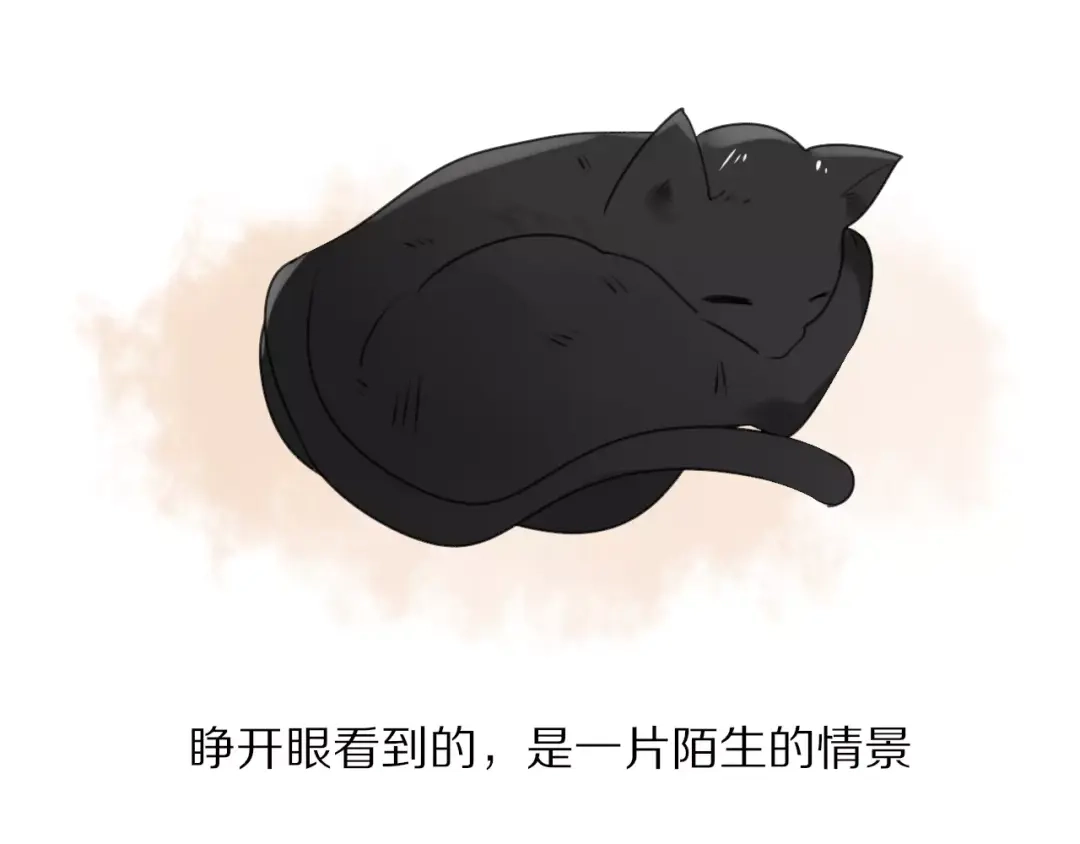 《猫与黑曜石》第27话 幸好有你 第3页