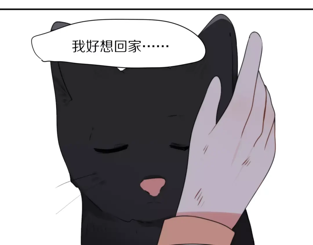 《猫与黑曜石》第27话 幸好有你 第34页