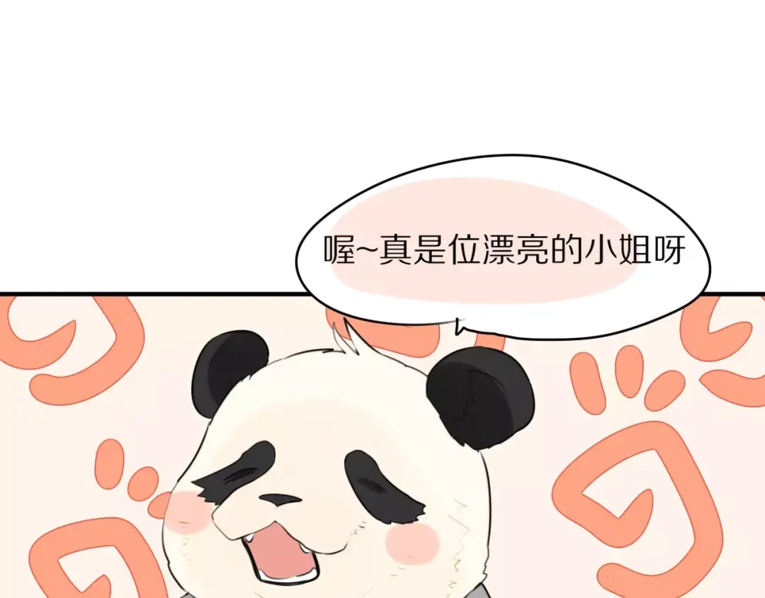 《猫与黑曜石》第2话 大熊猫镇长 第116页