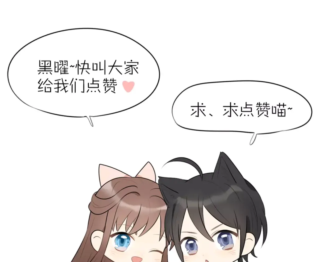 《猫与黑曜石》第2话 大熊猫镇长 第141页