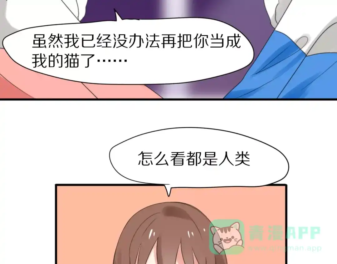 《猫与黑曜石》第29话 谢谢你 第51页