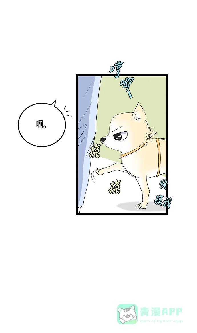 《没错，是初恋呀》第38话 第48页
