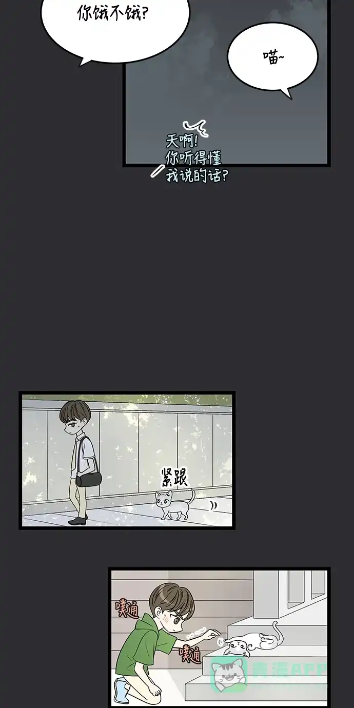 《没错，是初恋呀》第47话 第17页