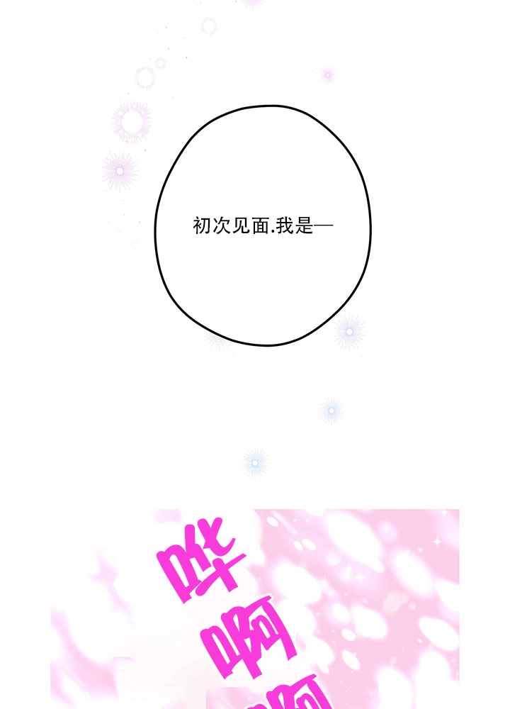 《玫瑰城的挽歌》第01话 第45页