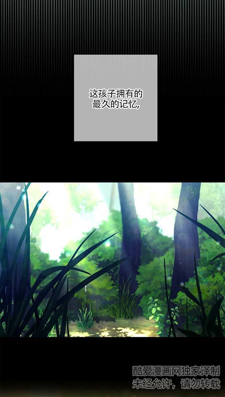 《玫瑰城的挽歌》第12话 第12页