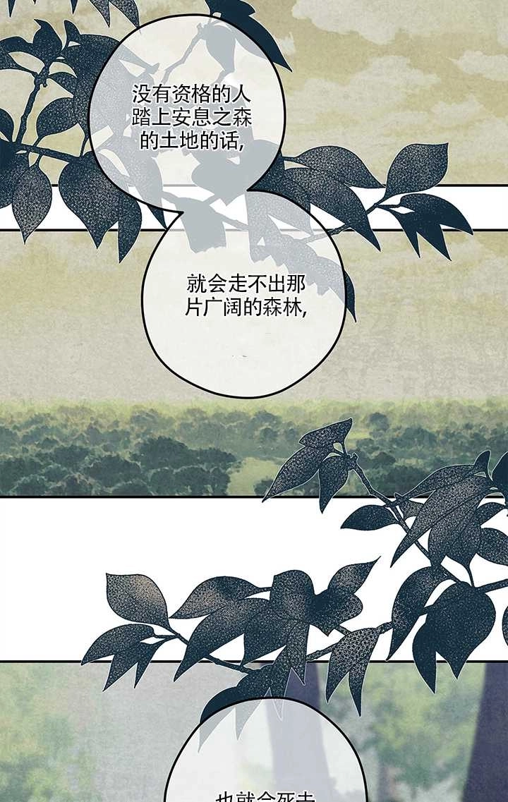 《玫瑰城的挽歌》第14话 第12页