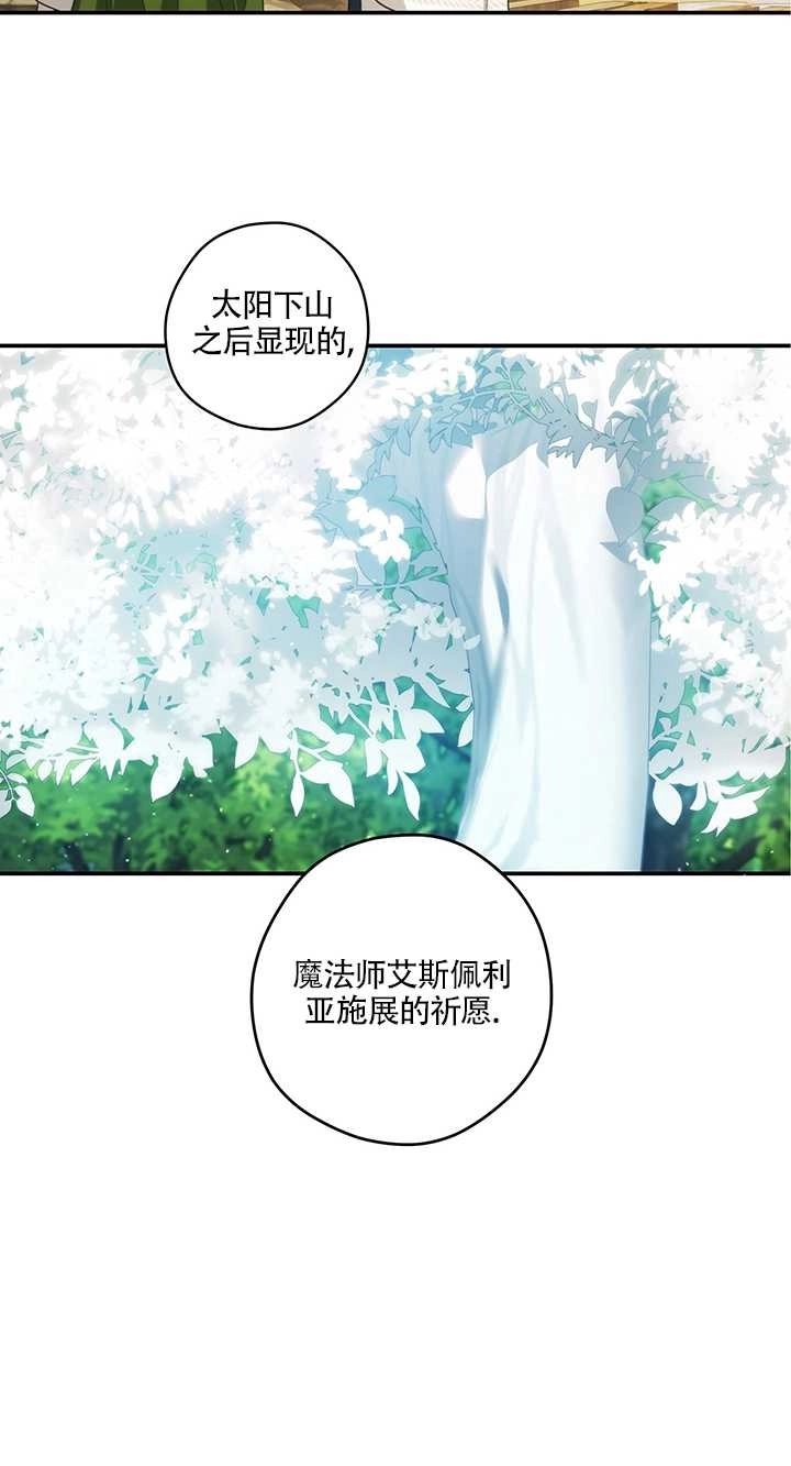 《玫瑰城的挽歌》第16话 第36页