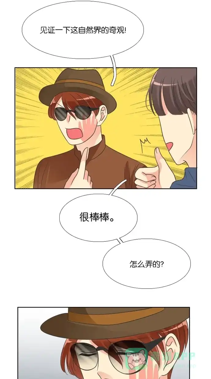 《美男家族》[第43话] 美男的策略（2） 第8页