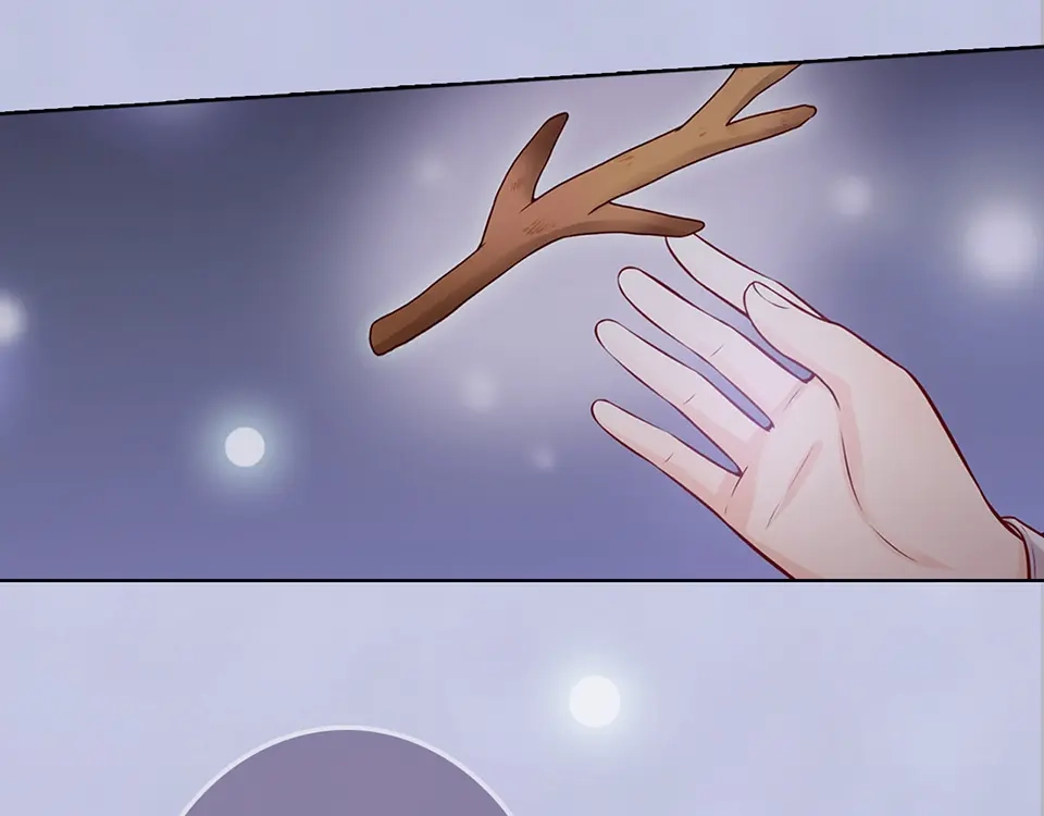 《美人老矣》第48话 身世 第222页