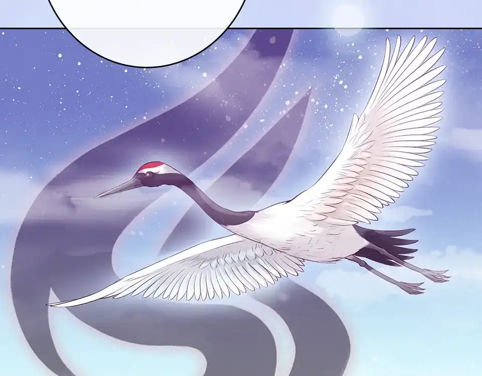 《美人老矣》第64话 他的身份 第88页