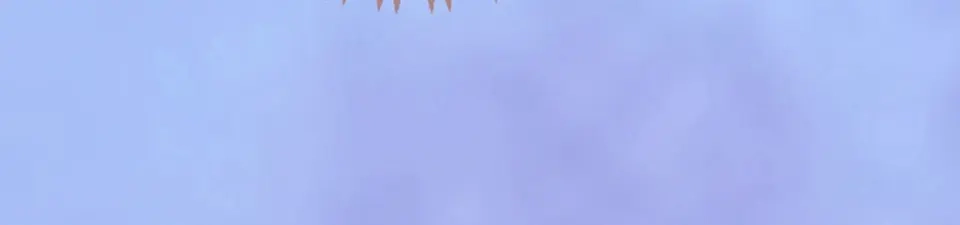《美人老矣》第66话 神秘金发男子 第88页