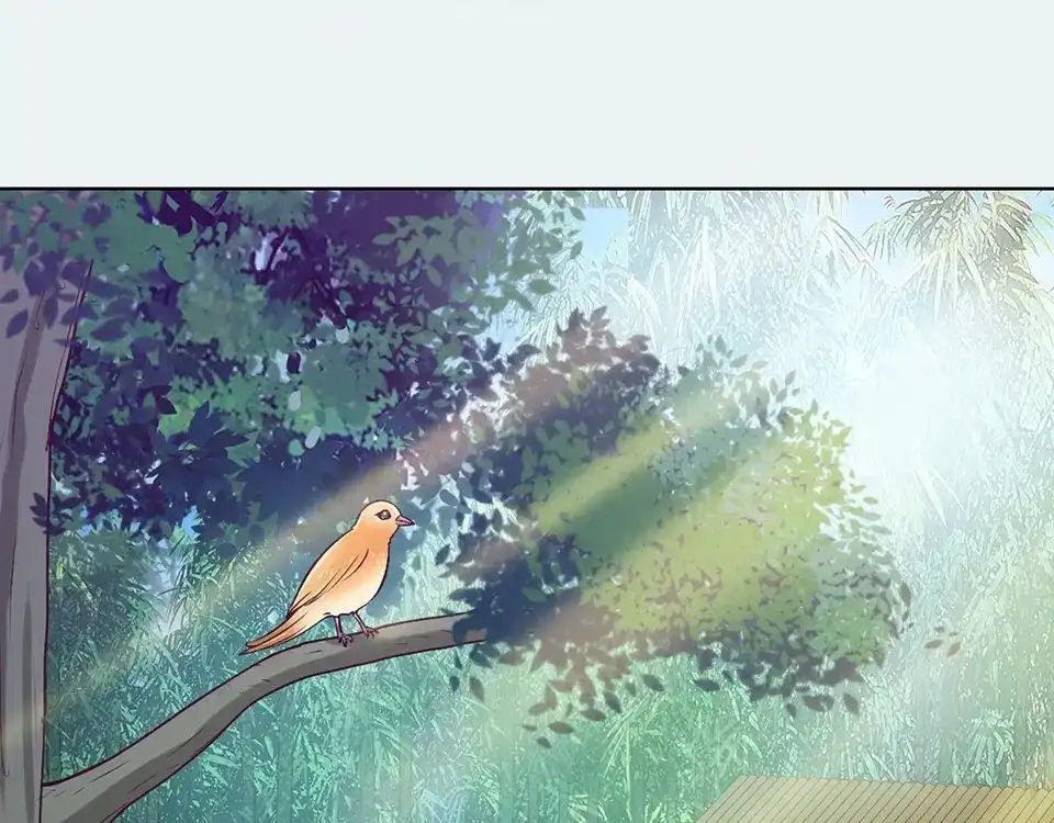 《美人老矣》第69话 易容成猪头？！ 第7页