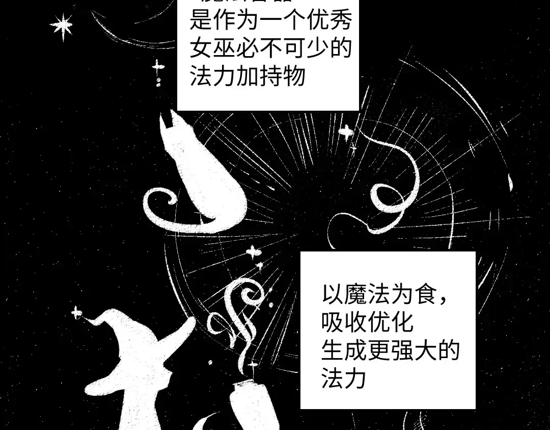 《每日便车》黑白番外 最佳搭档 第6页
