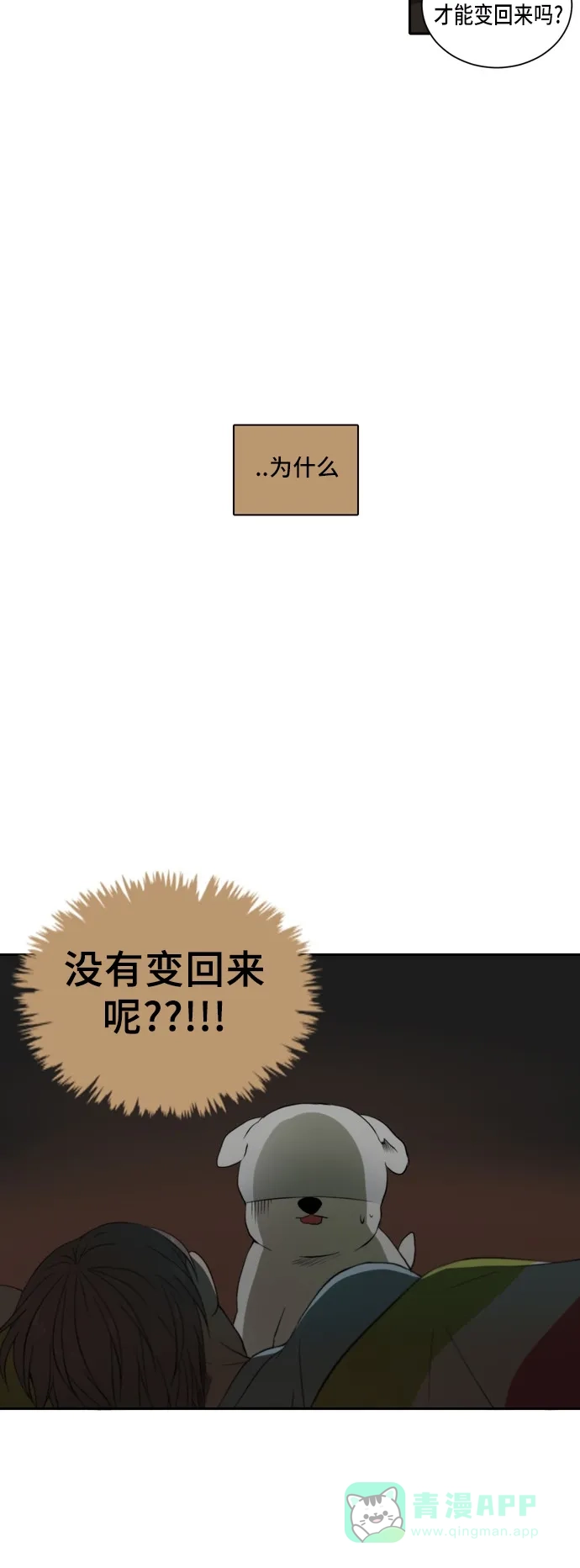 《每天可爱一点点》第20话 第36页