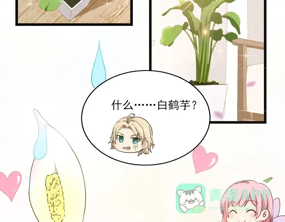 《梦间集天鹅座》第23话 针锋相对 第21页
