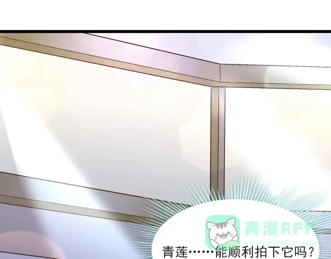 《梦间集天鹅座》第31话 激烈竞拍 第11页